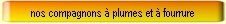 nos compagnons à plumes et à fourrure